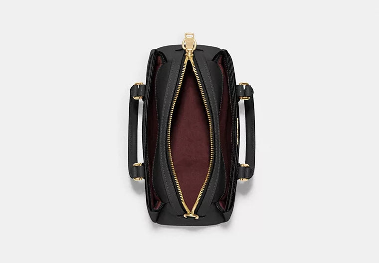 Coach Mini Darcie Carryall Bag