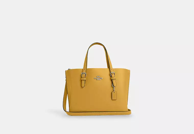Coach Mollie Tote Bag 25